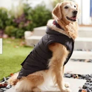 Frisco Dog Hooded Parka Jacket